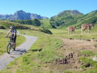 MTB Transalp Tour